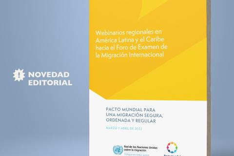 Informe sobre los Webinarios Regionales hacia el FEMI